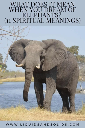 Egyéb Elefánt Szimbólumok És Jelentések