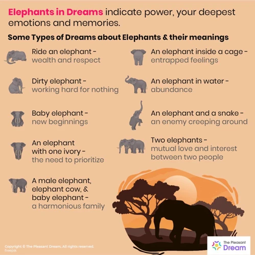 Az Elefánt Jelentése És Szimbolikája